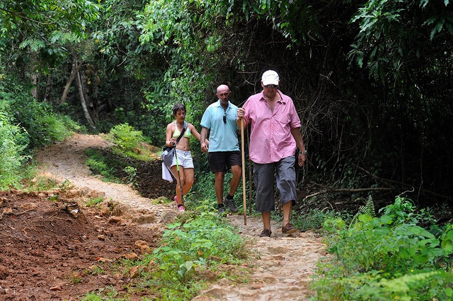 Limon Waterfall Sightseeing Tour in Samana