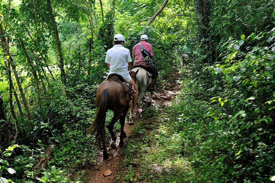 Limon Waterfall Tours from Samana Dominican Republic